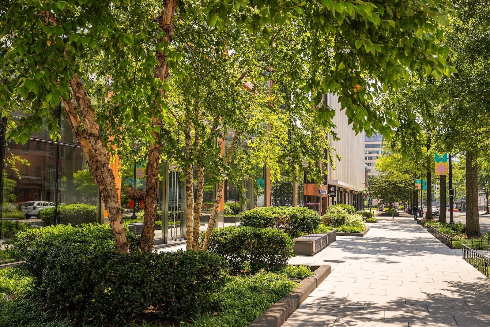 1200 17th Street landscape beds outdoor seating bench 2