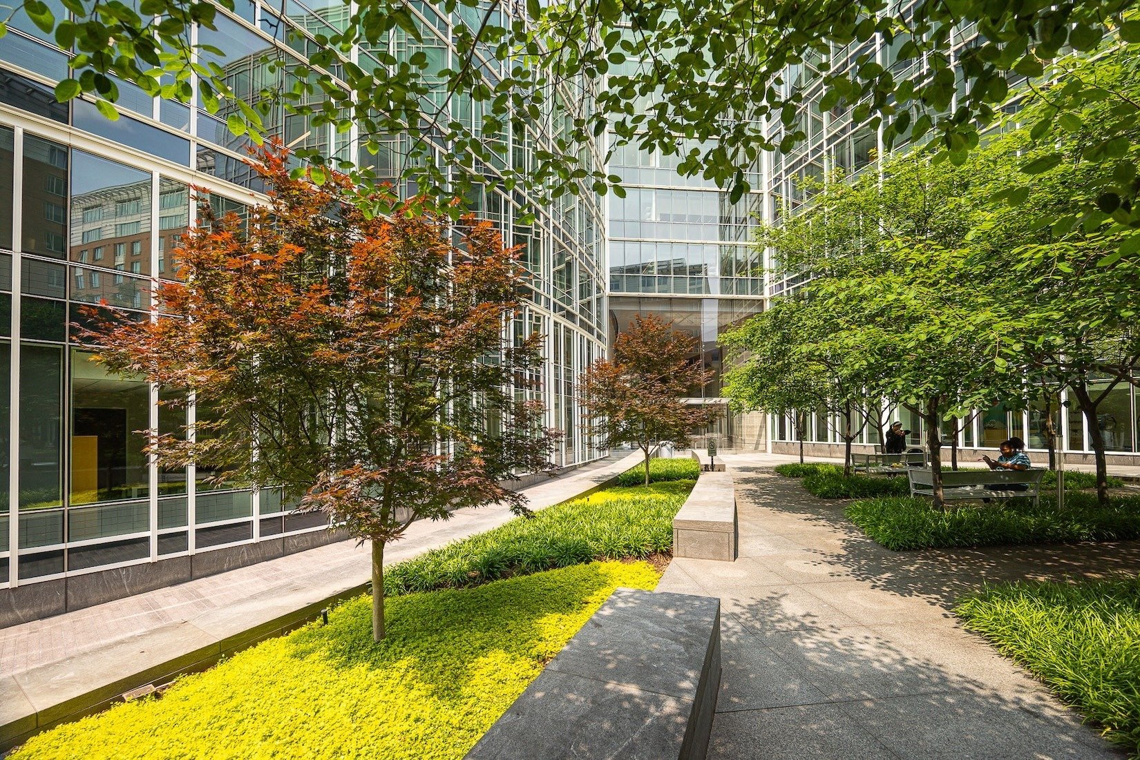 2200 Pennsylvannia ornamental grass paver walkway outdoor seating 