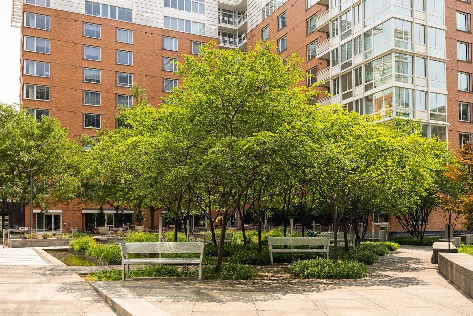 2200 Pennsylvannia outdoor seating landscape beds 4