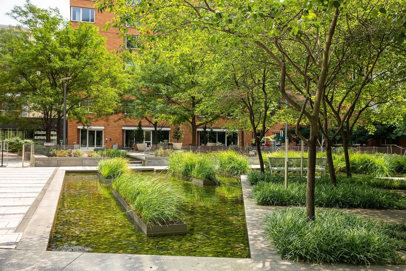 2200 Pennsylvannia outdoor seating landscape beds pond ornamnetal grasses 