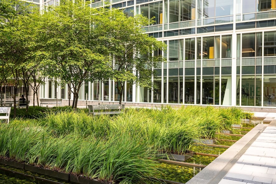 office landscaping with ornamental grass and pond