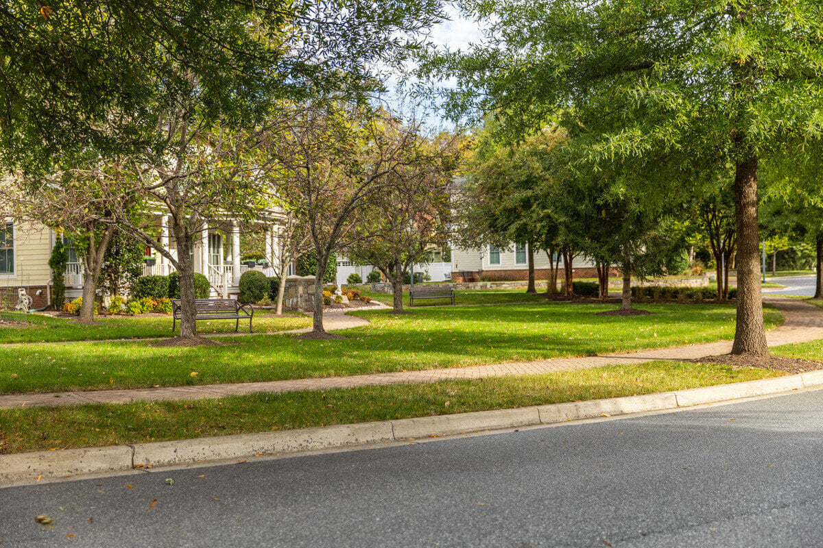 Chestnut HOA street view paver sidewalk 