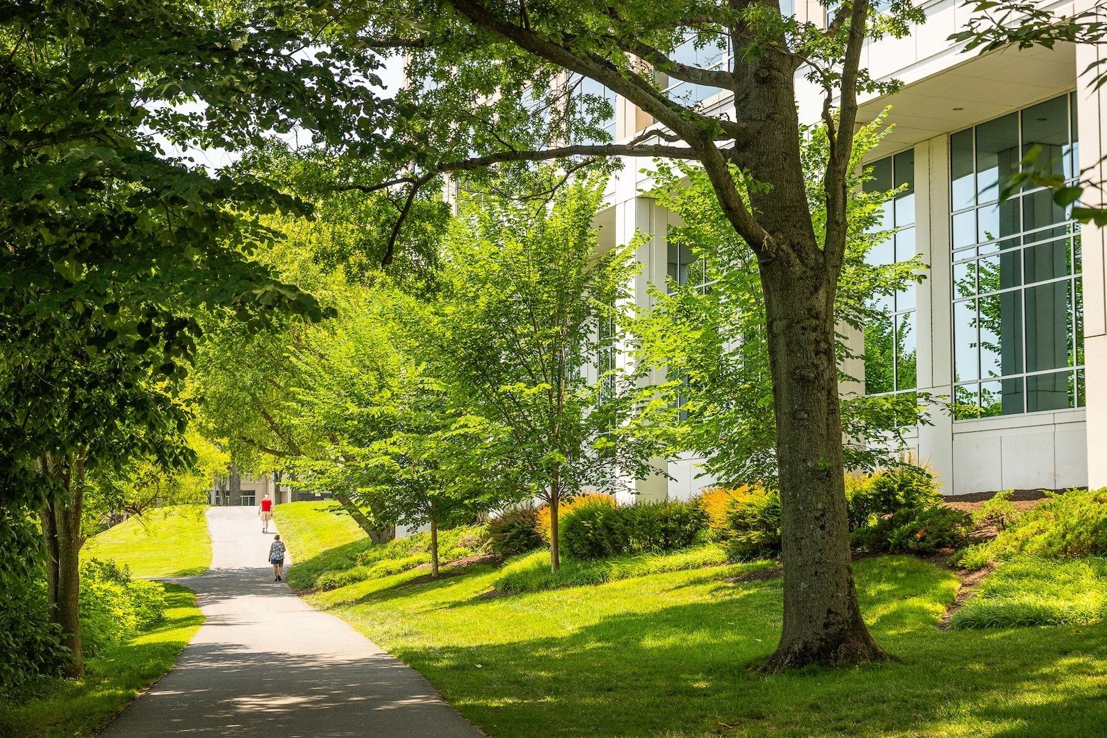 Columbia Lakefront walking path landscape beds green lawn 