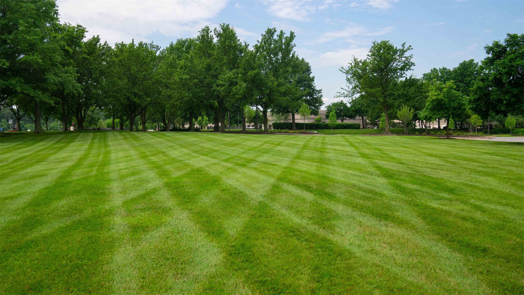 Commercial-landscape-maintenance-mowed-lawn