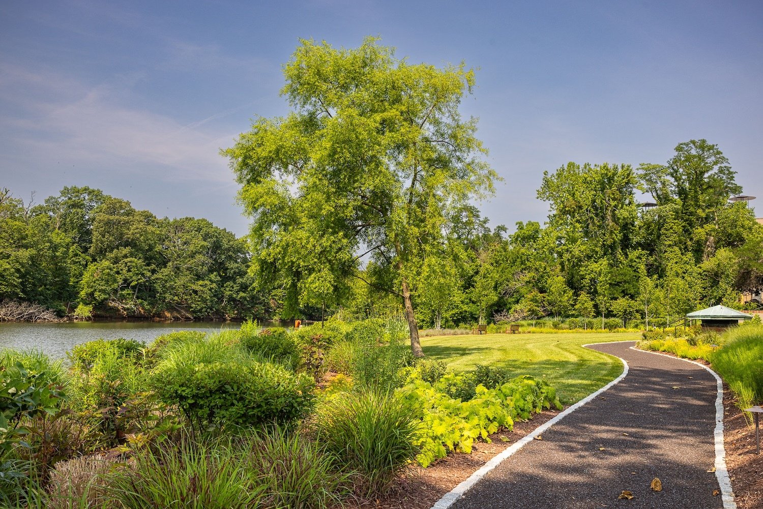 Flugel Alumni Center walking path along water landscape bed