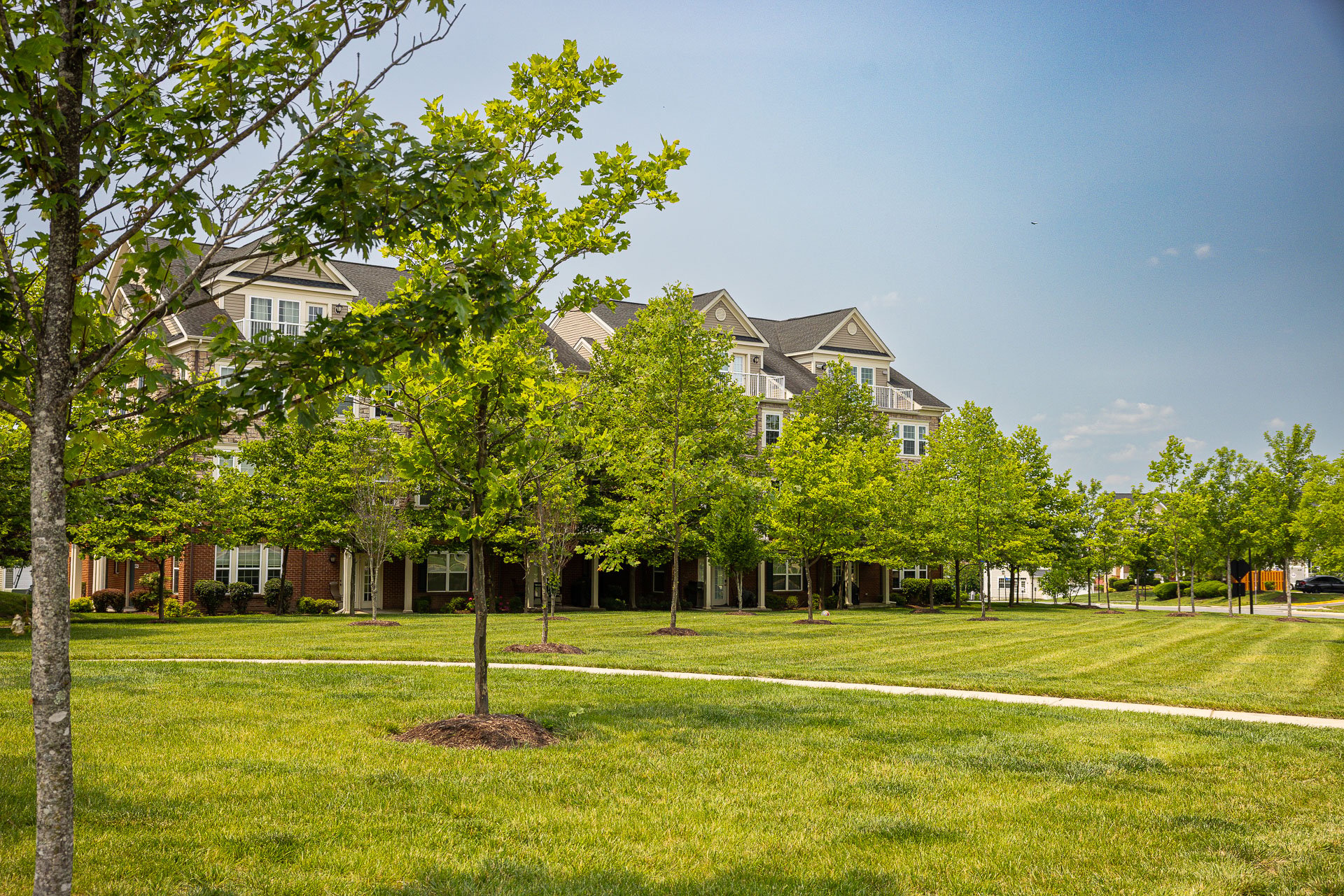 Goose Creek Preserve green lawn trees 1