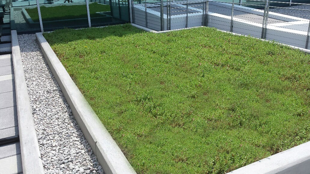 green roof on office building