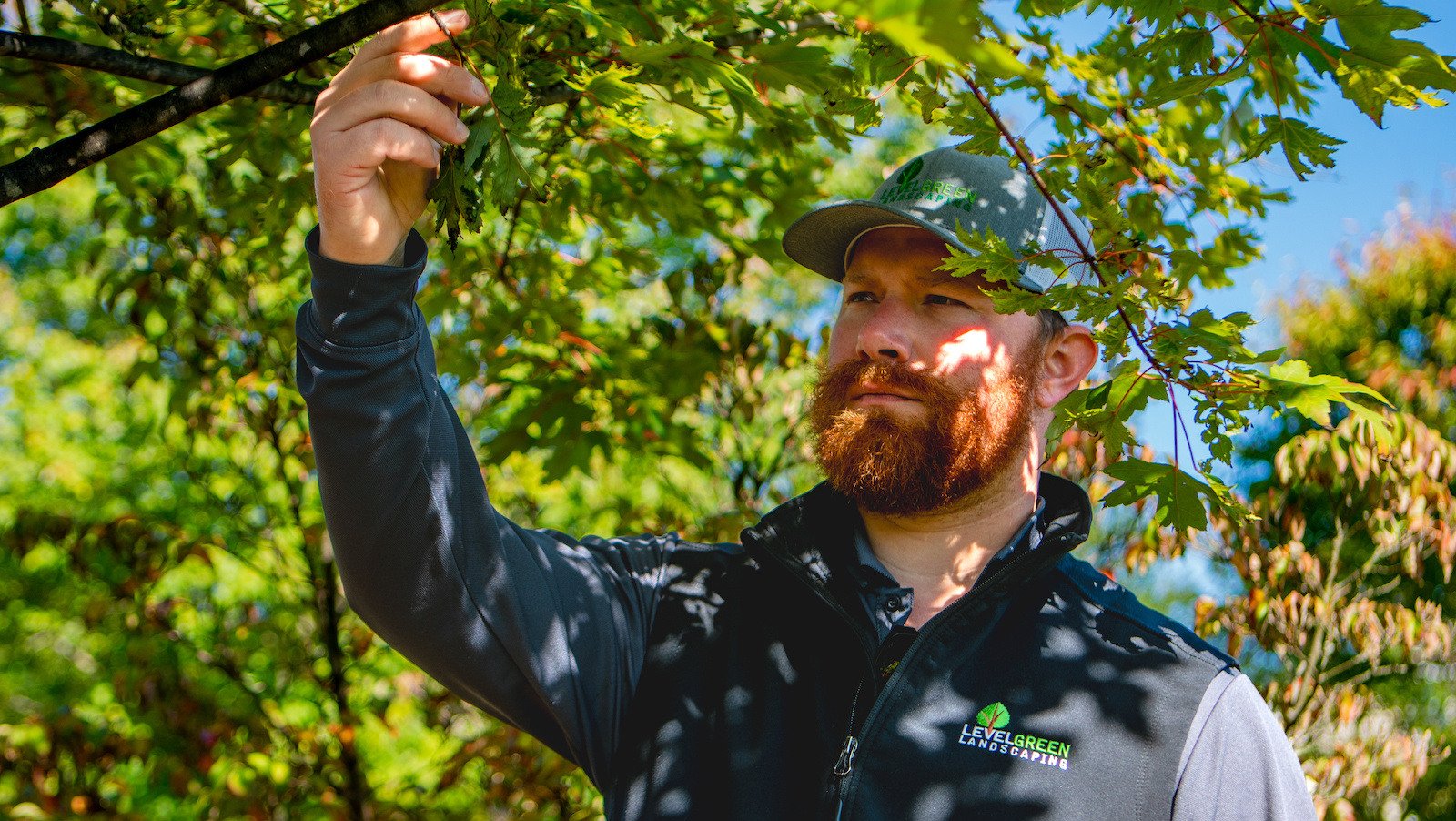 Hidden Bloff HOA account manager looking at tree