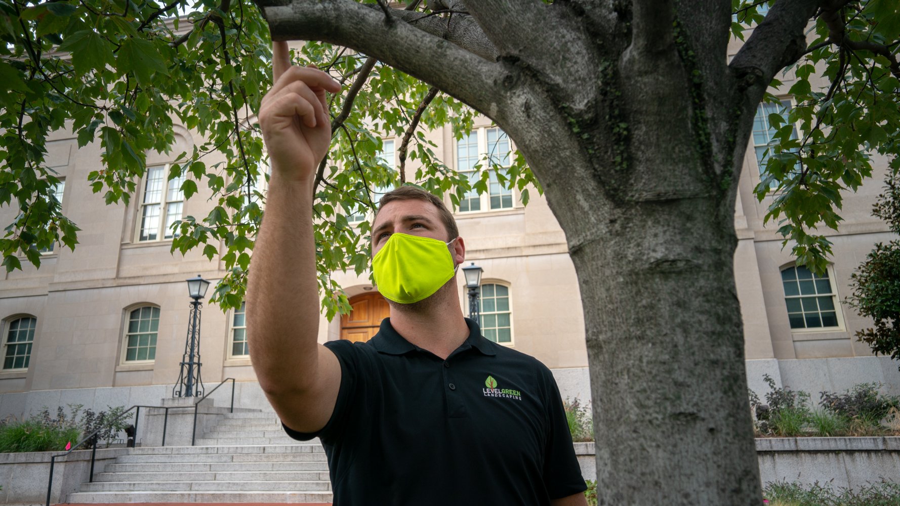 LevelGreen Account Manager Tree Inspection Pruning Crew 2