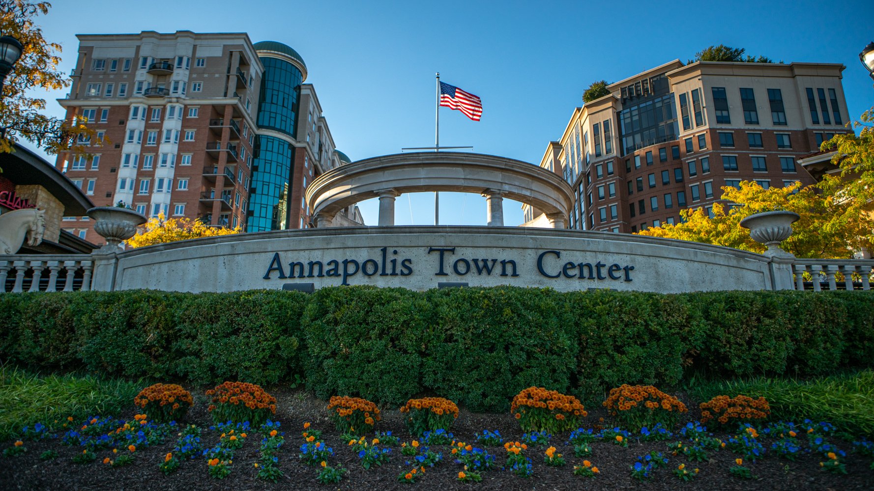 LevelGreen Commercial Annapolis Town Center Shopping Sign Annual planting landscaping flowers mums pansies