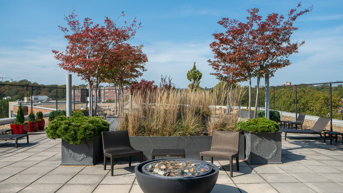 green roof with plantings on commercial property