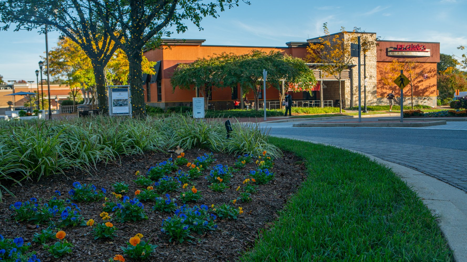 flowers and plantings near shopping center