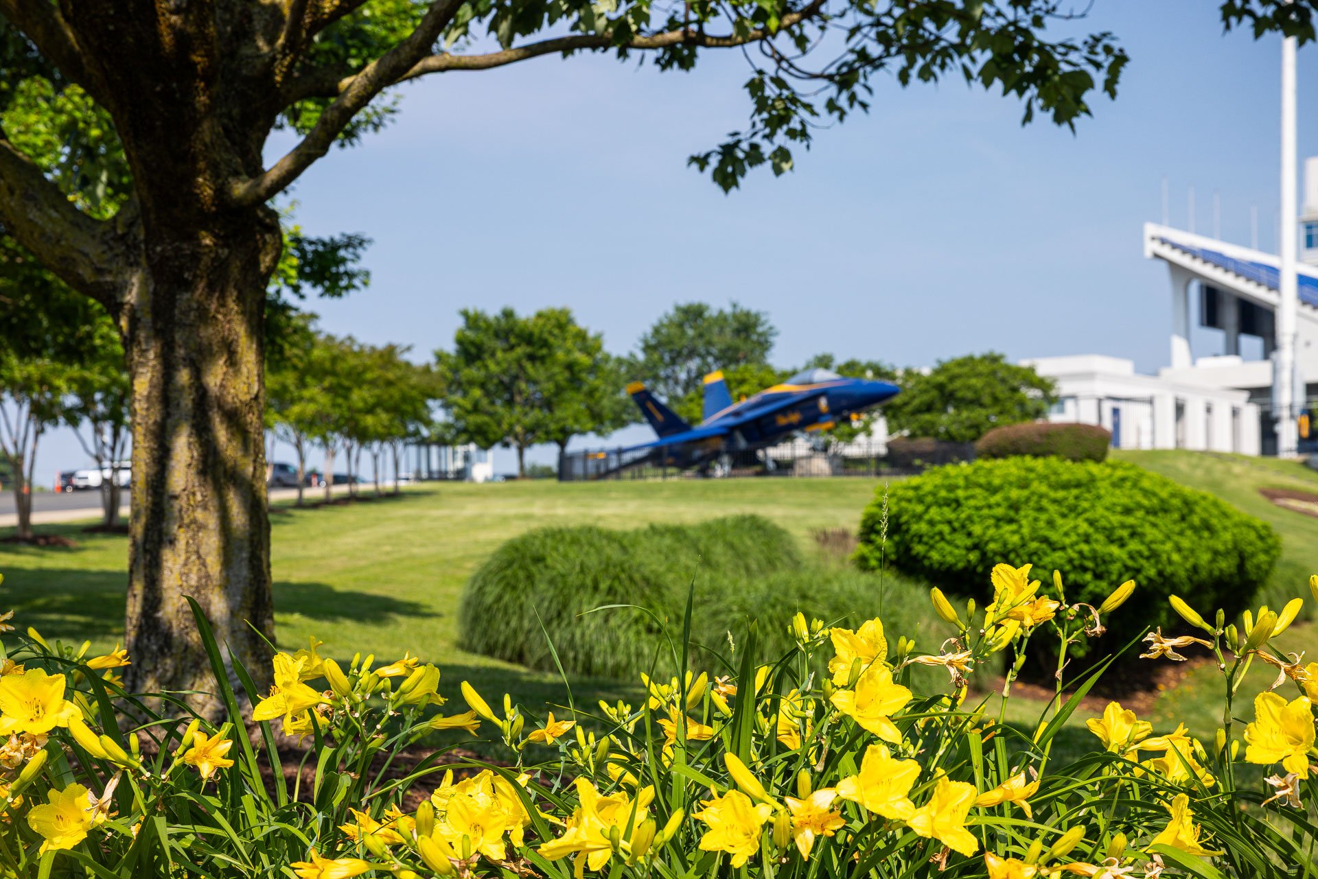 Navy Memorial Stadium landscape bed plane green lawn 1
