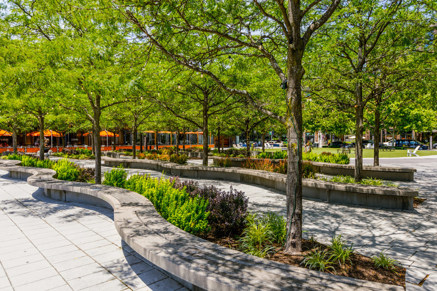 office landscaping with benches and shade trees