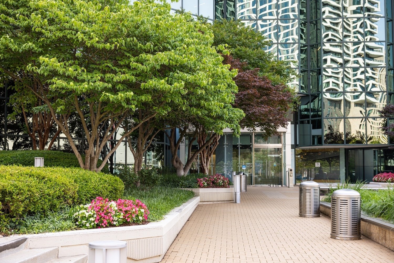 The Boro paver walkway raised landscape beds 