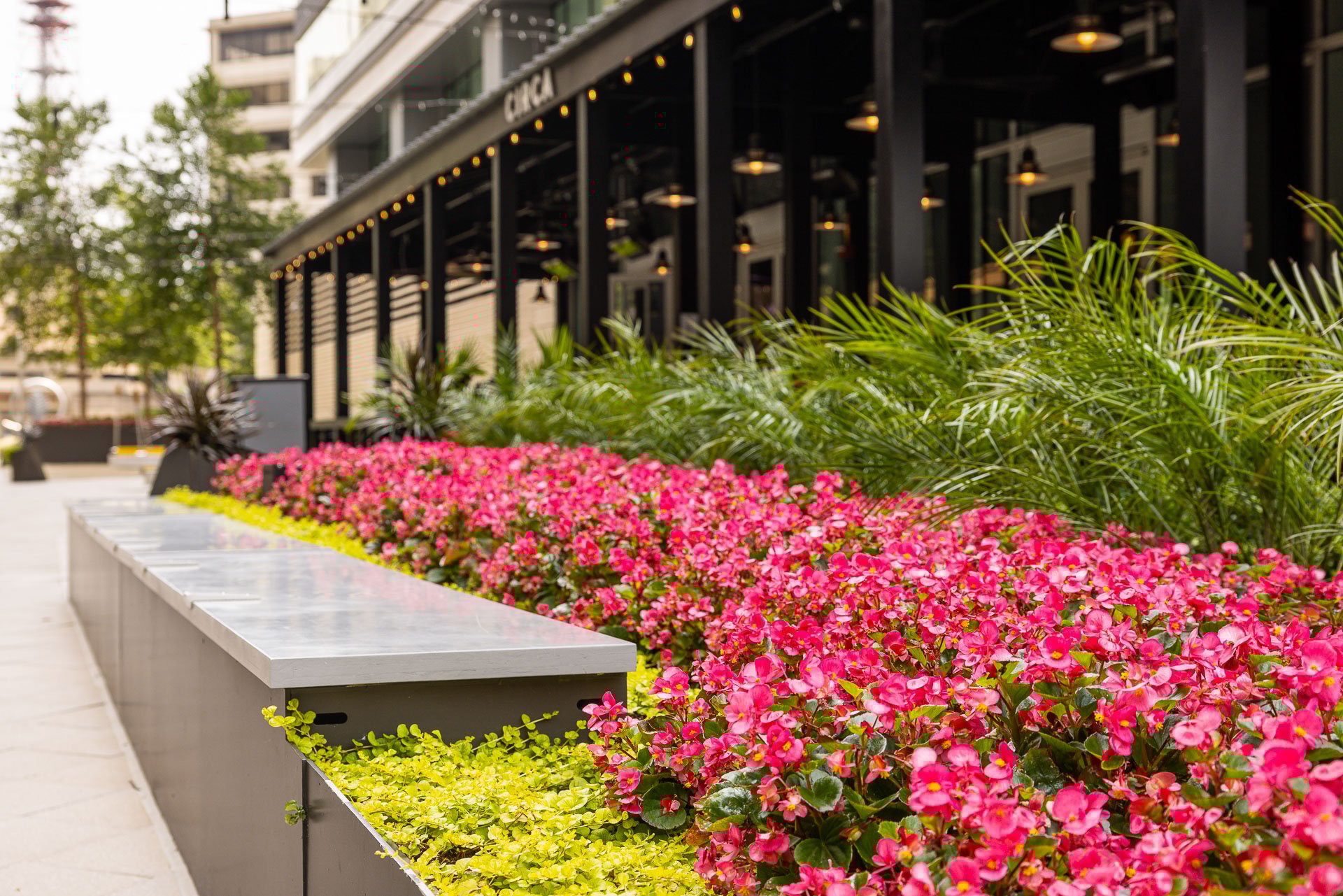 The boro raised landscape bed seating bench flowers up close