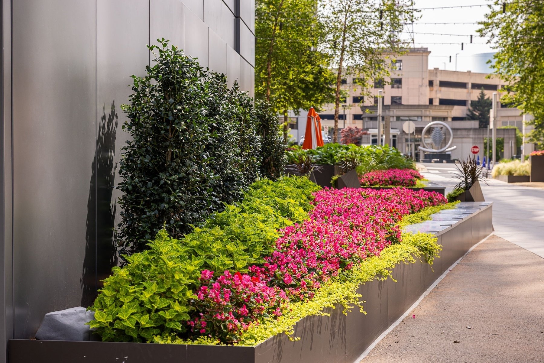The boro raised landscape beds closeup flowers 4