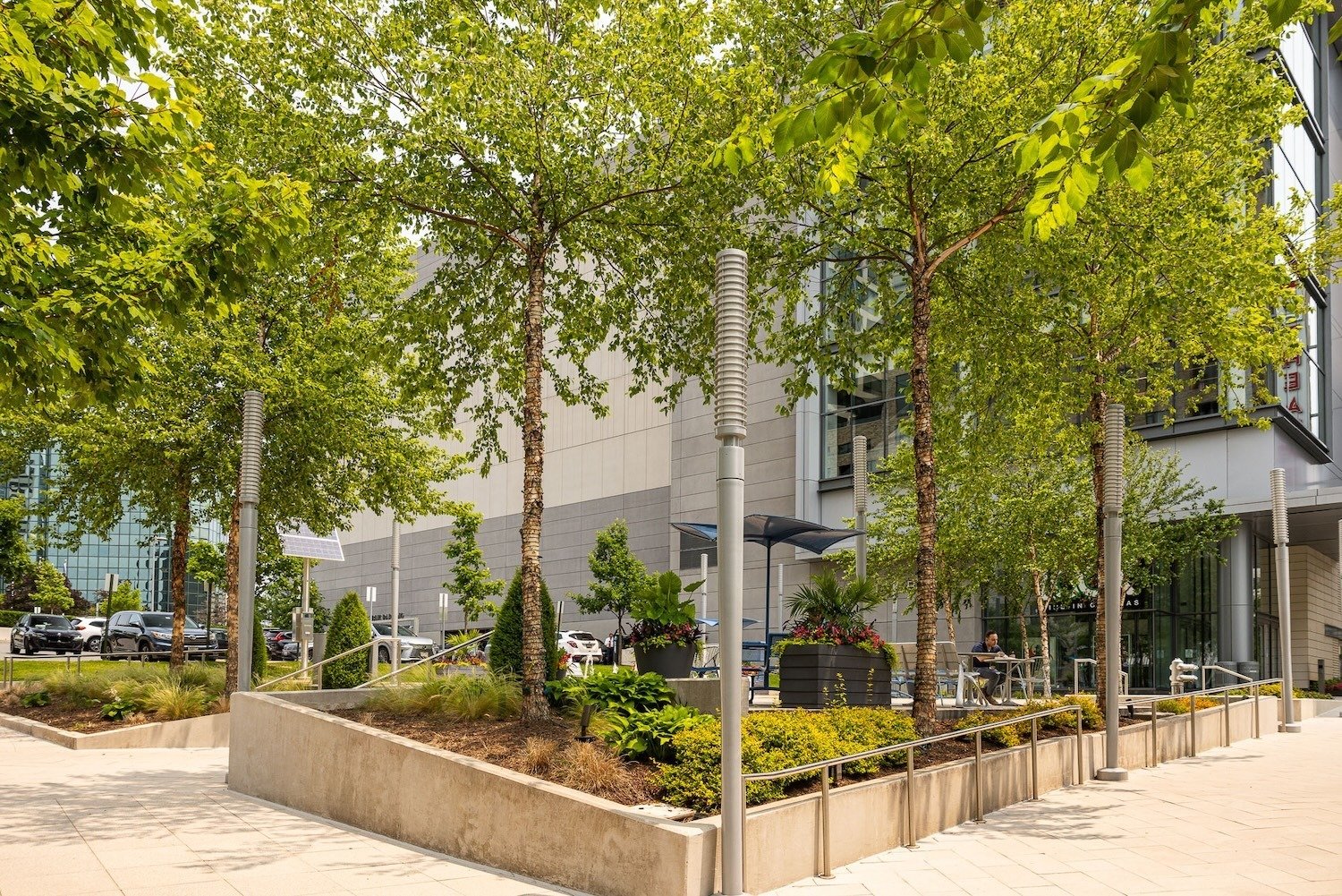 The boro raised landscape beds lights on trees 
