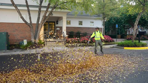 leaf blower removing leaves
