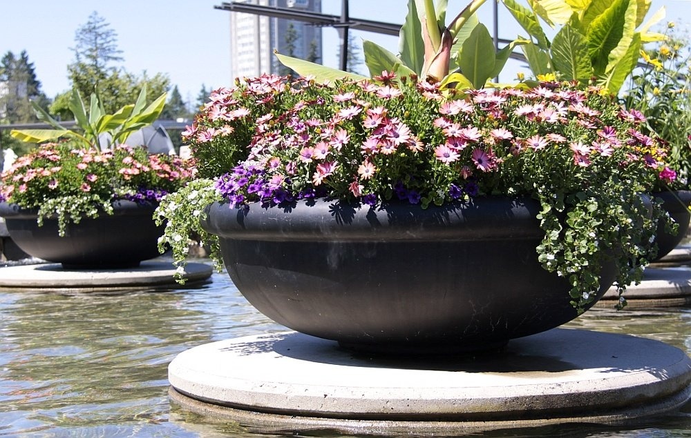 container plant with fall colors