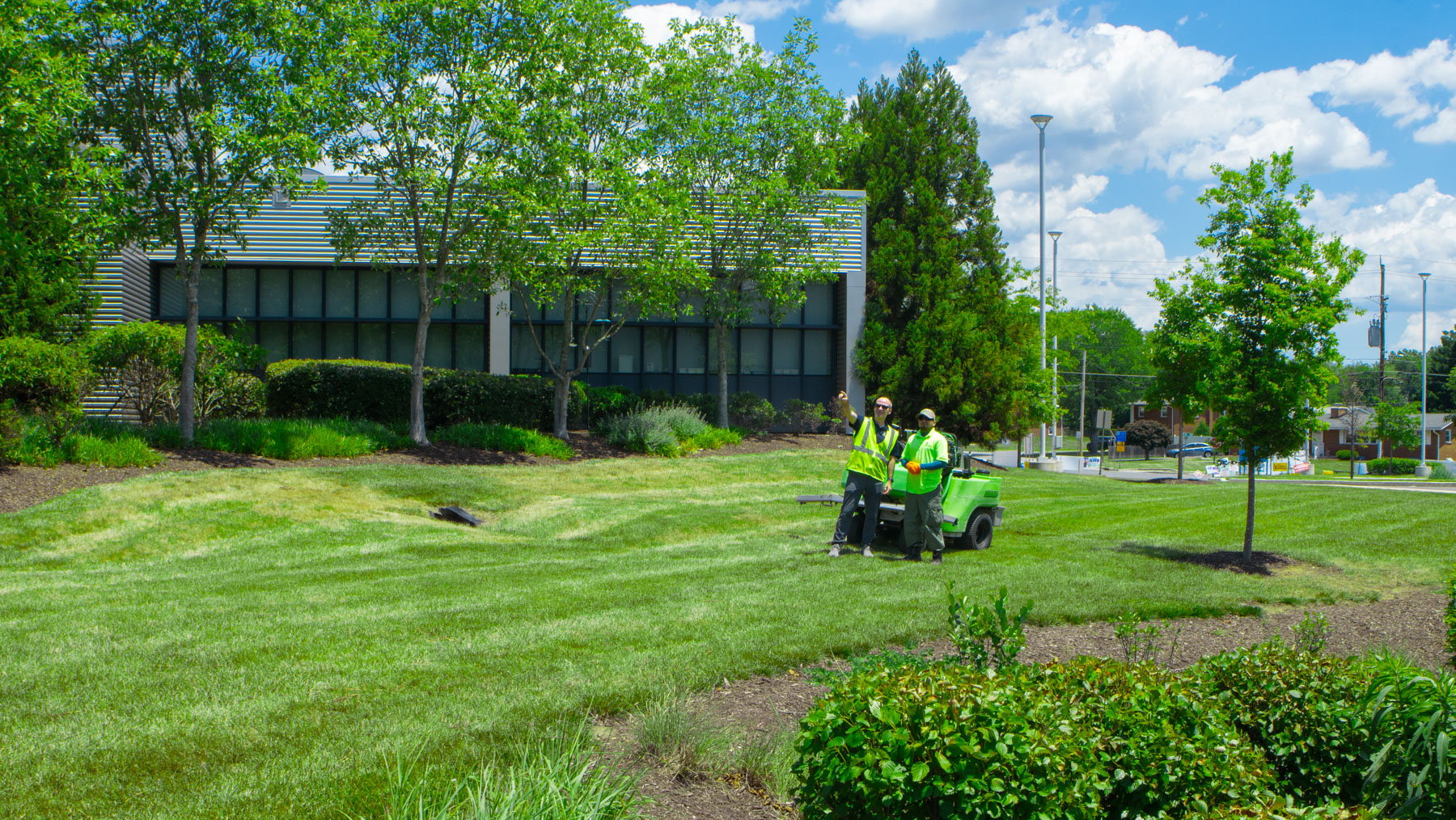 crew lawn care green grass