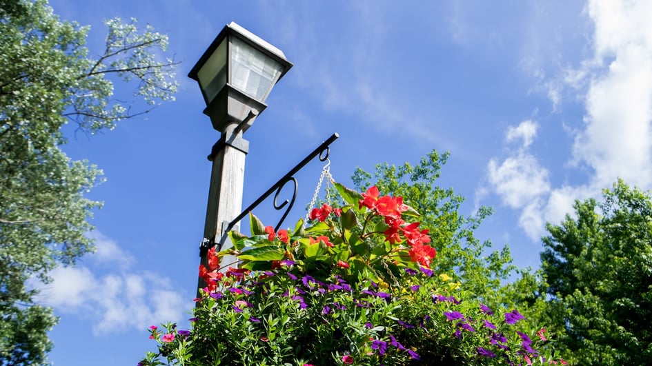 flowers-hanging-basket-light