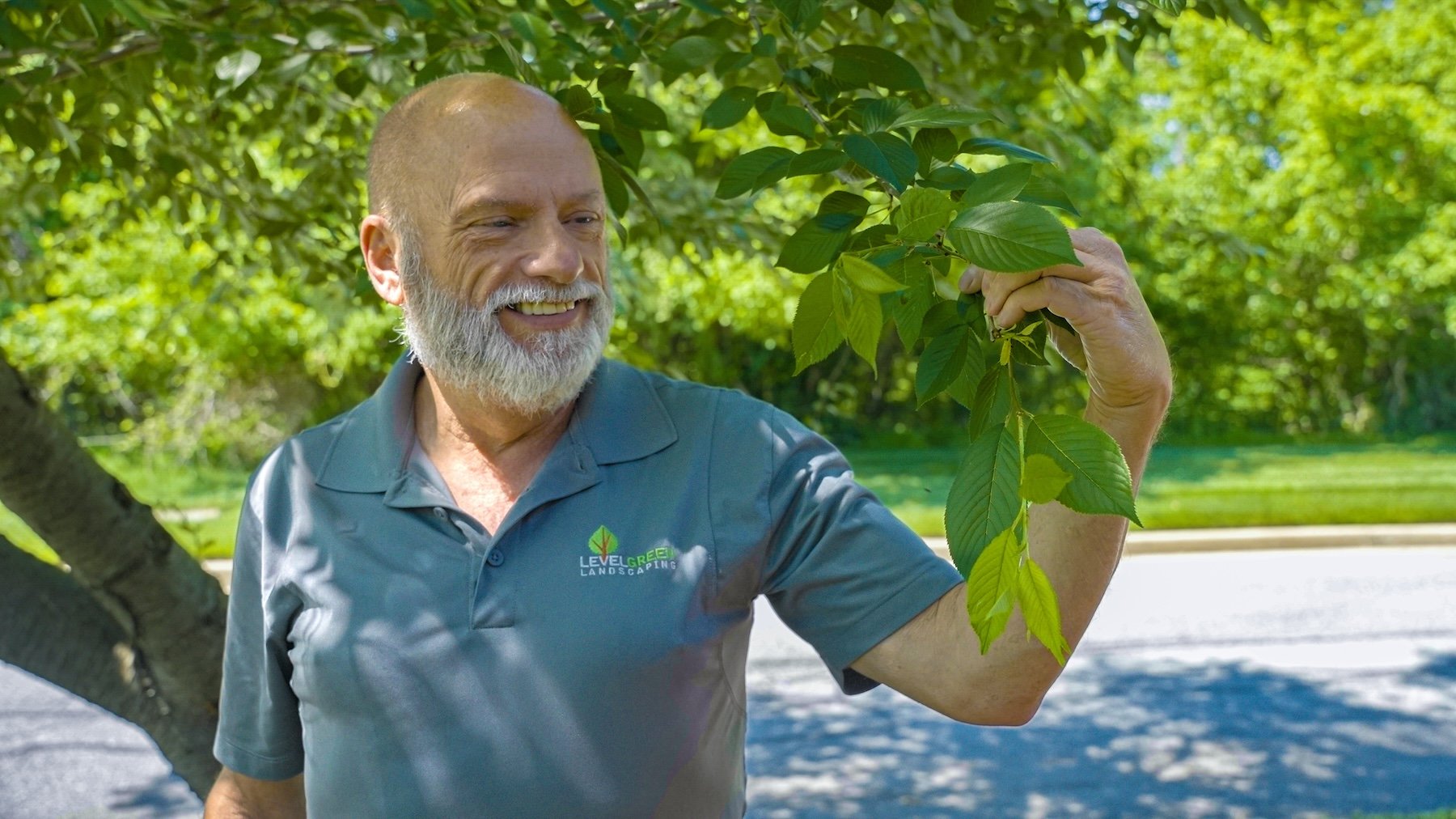 lgbtq person examining tree branch 