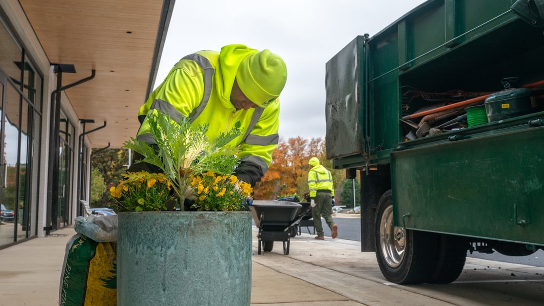 crew planting fall plants 