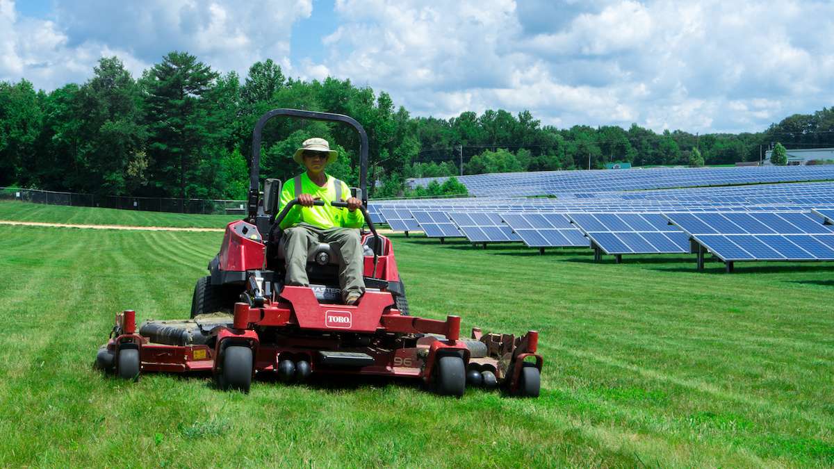 Green mowing store