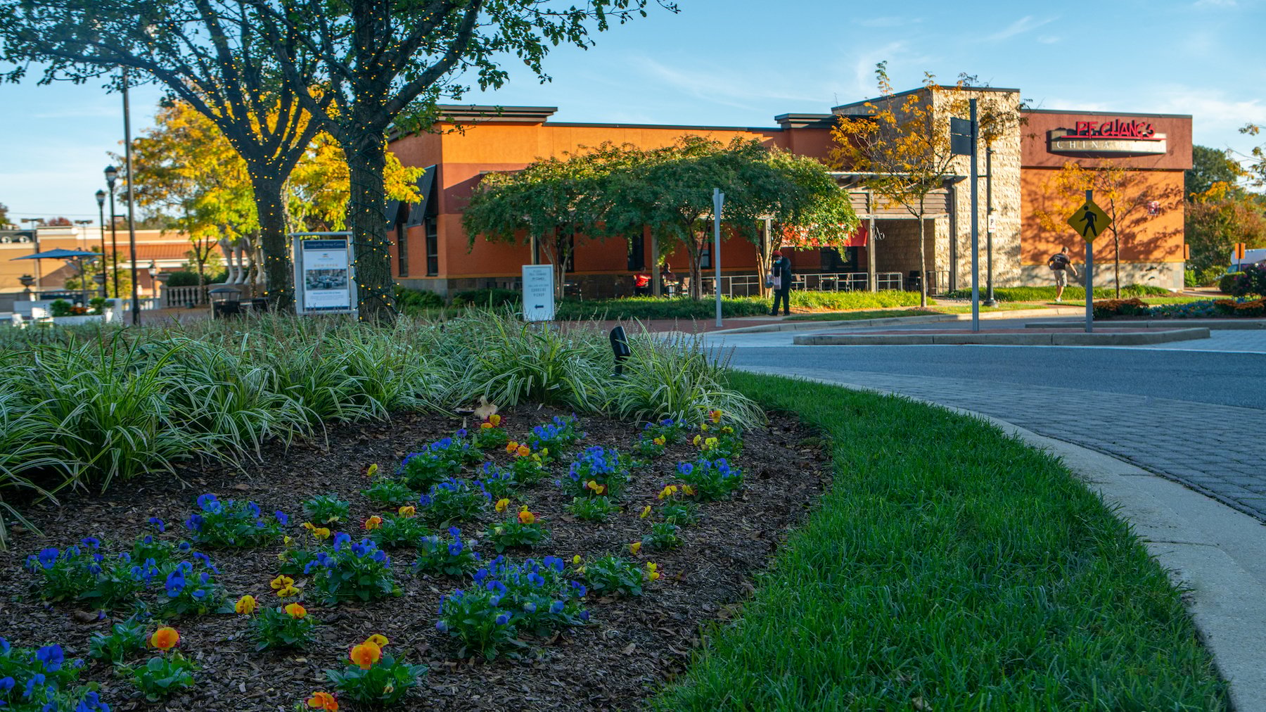 fall landscape commercial center 