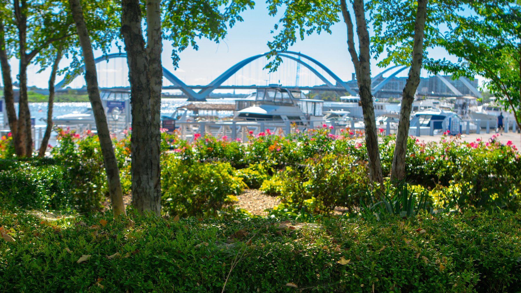 Capitol Riverfront Improvement District plant beds bridge