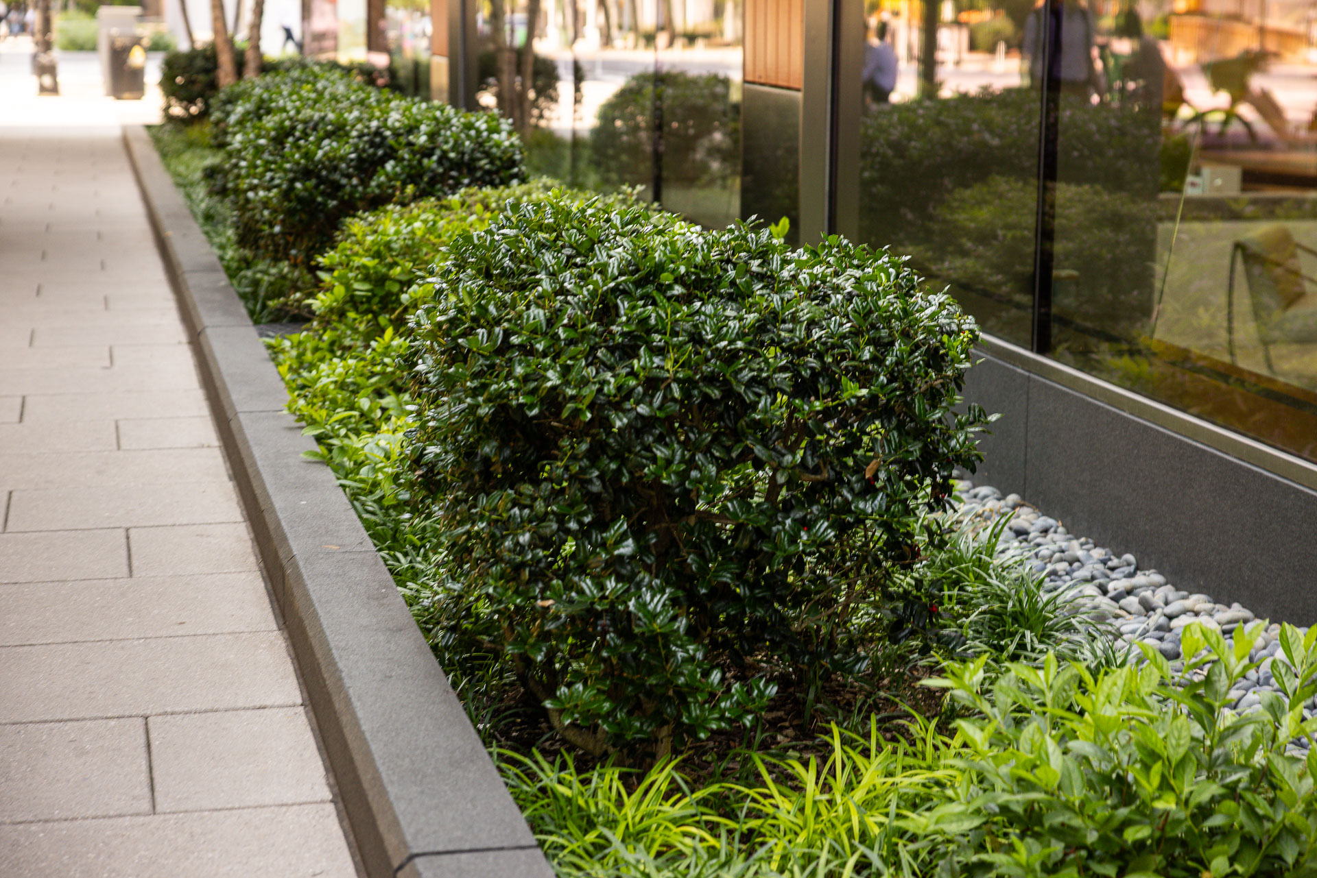 1200 17th Street landscape beds 