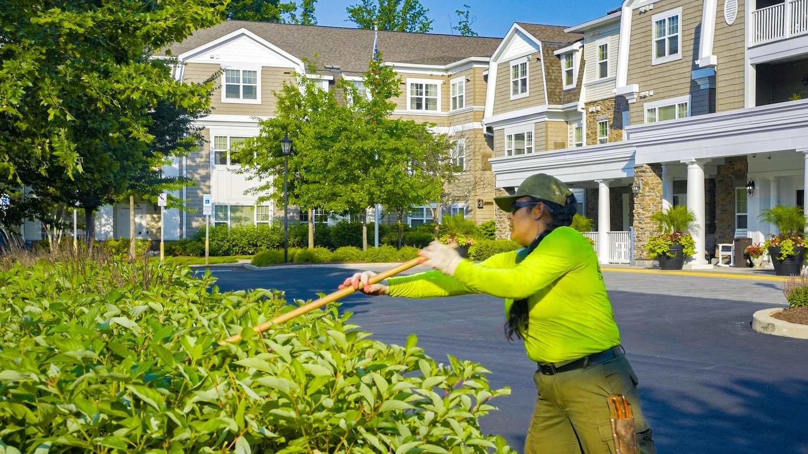crew trimming back bushes