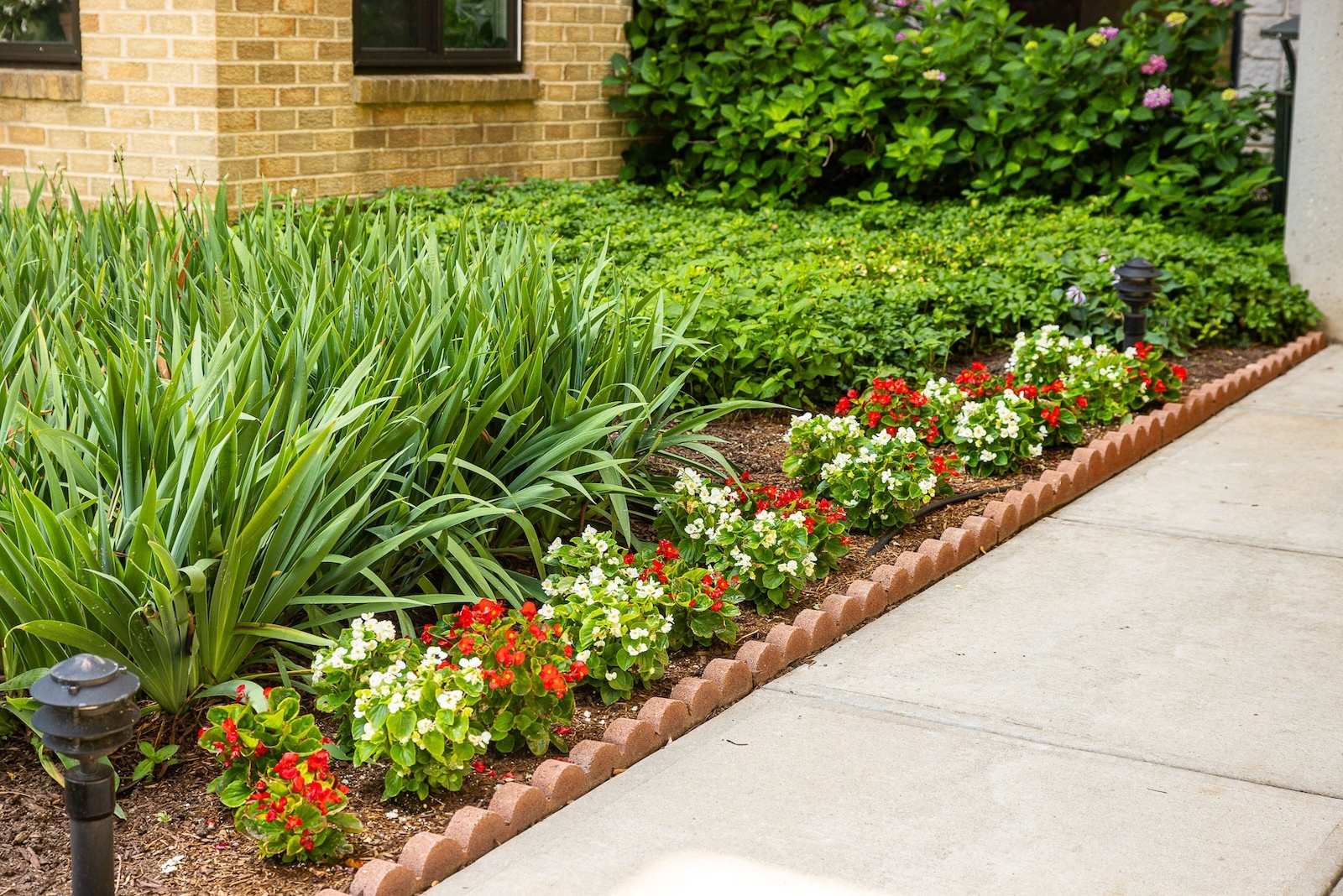 commercial landscape beds