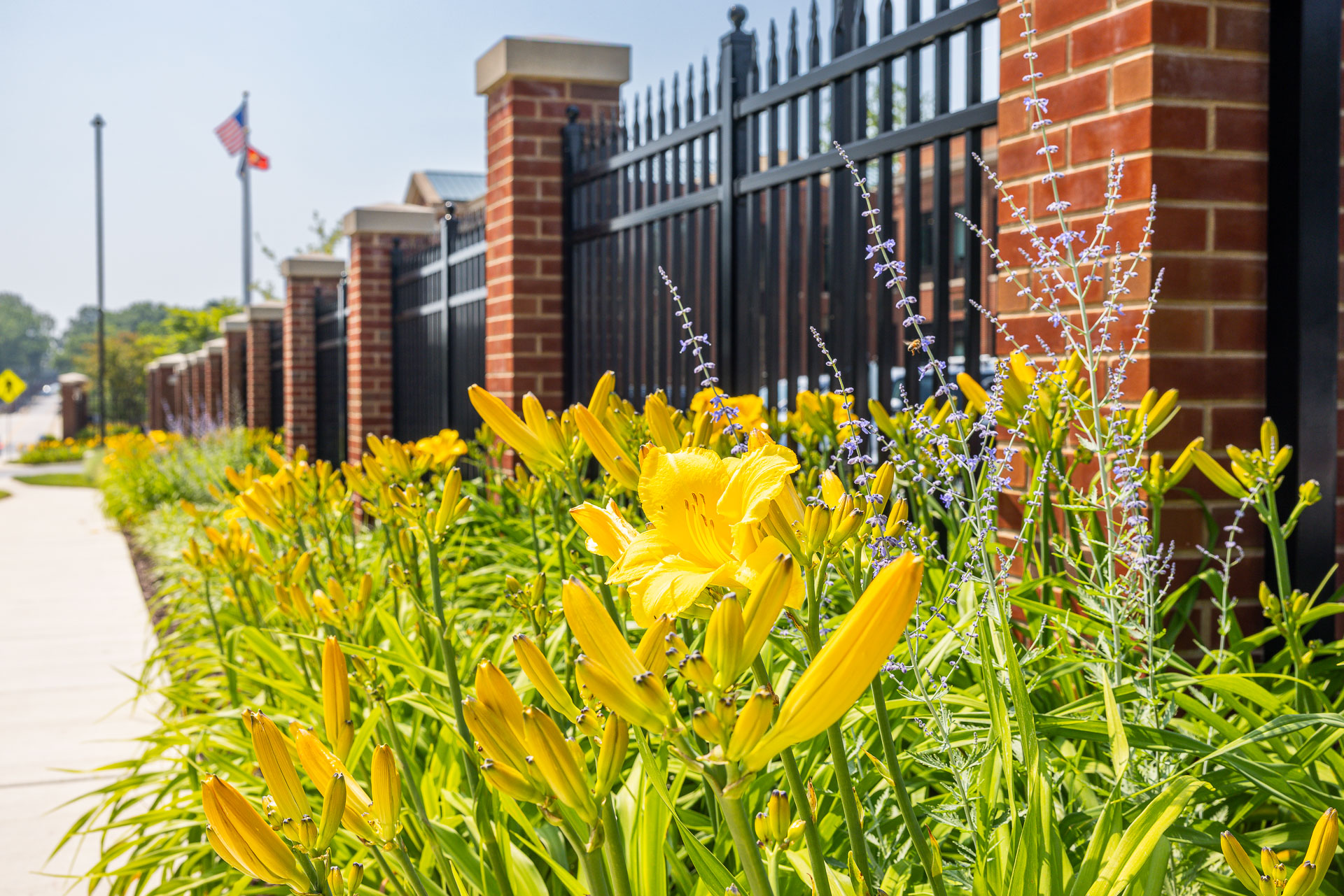 Flugel Alumni Center iron brick fence landscape beds 3