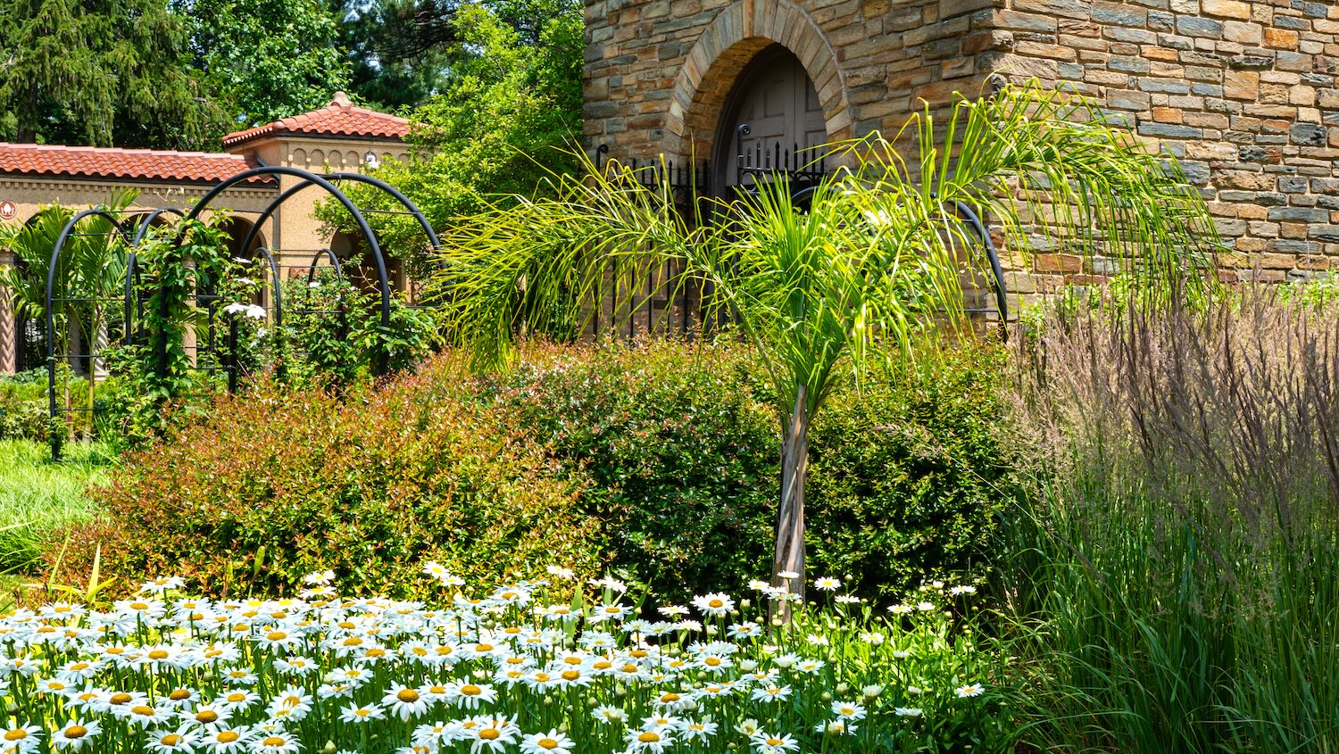 Franciscan Monastery landscape beds 1