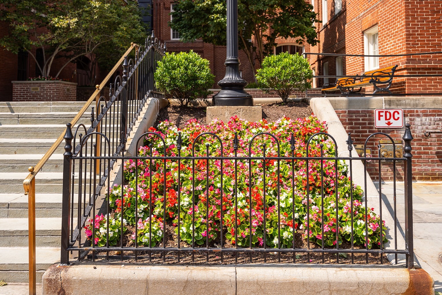 Sumner School raised landscape bed flowers stairs 