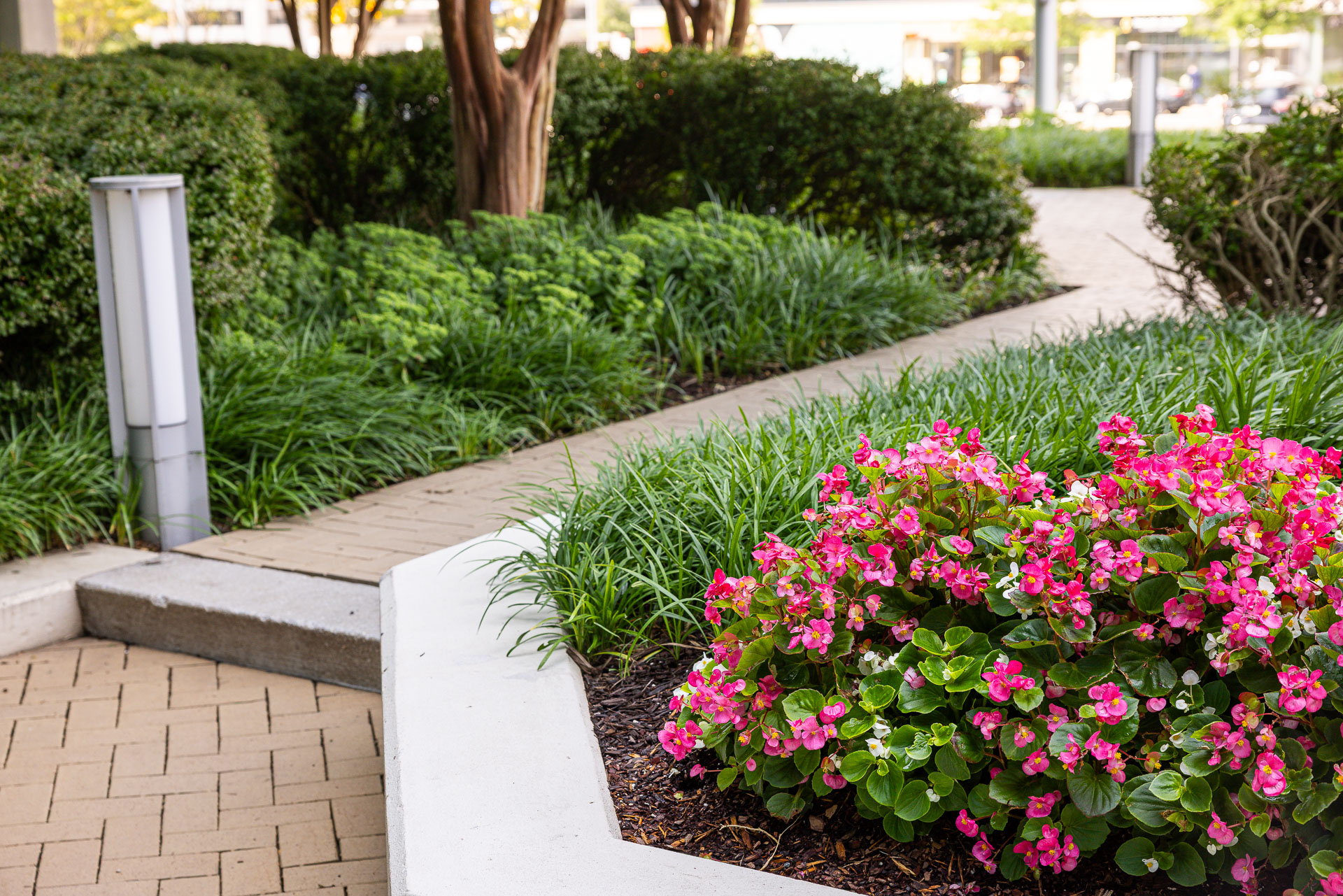 The boro paver walkway raised flower bed 