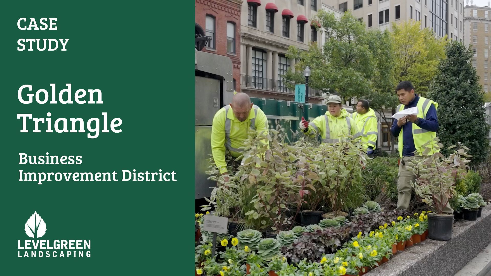 Golden Triangle Business Improvement District - Landscaping Case Study