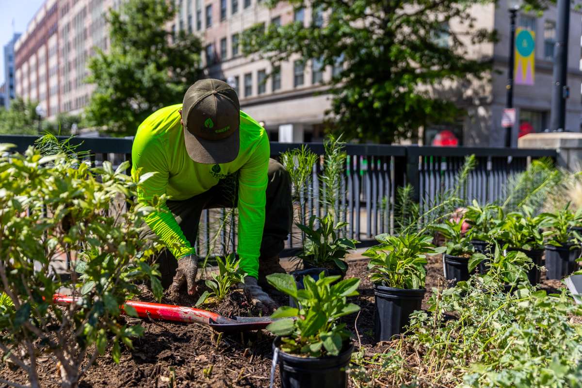 crew planting flowers