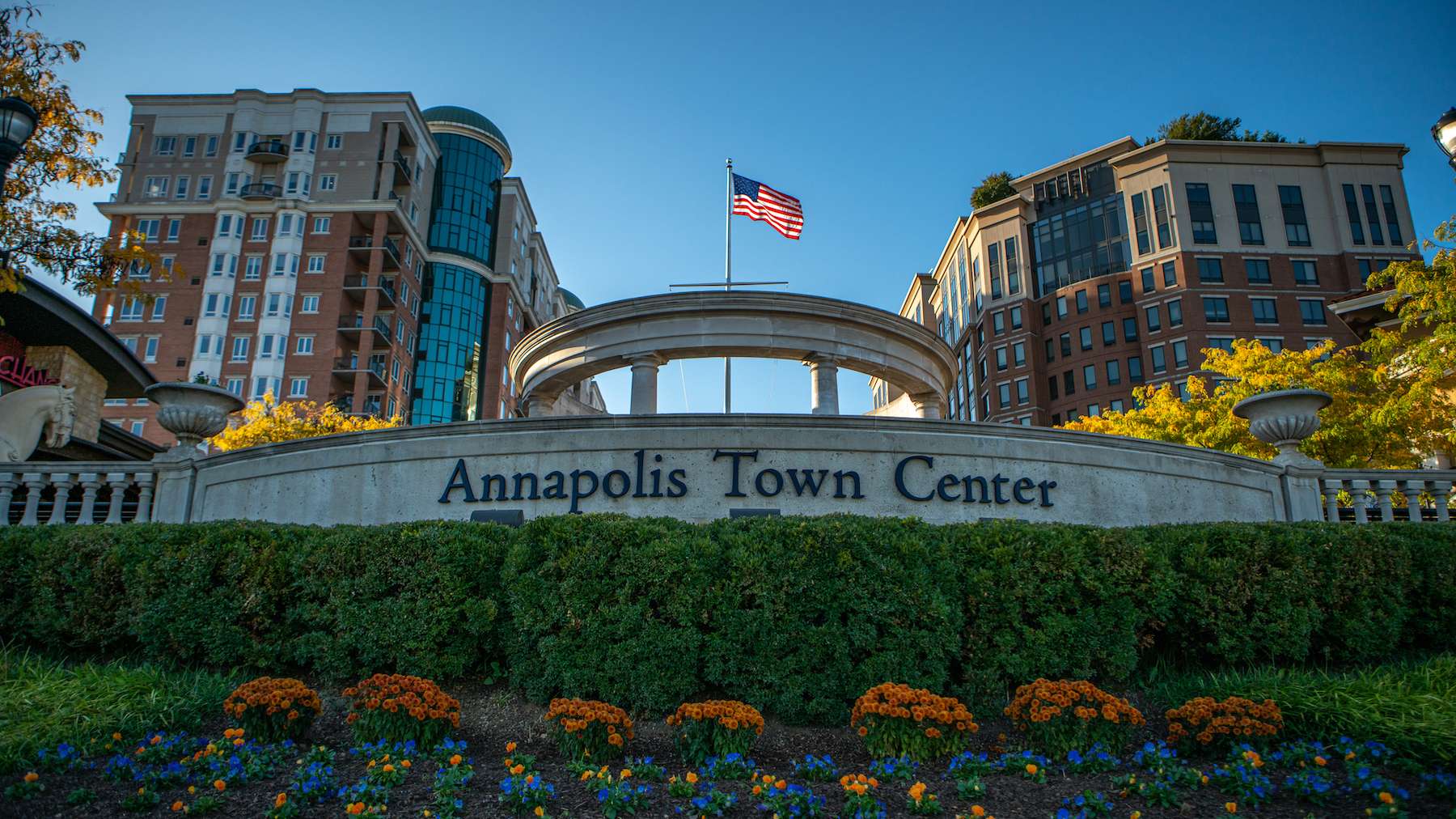 Annapolis town center sign with bushes and flowers