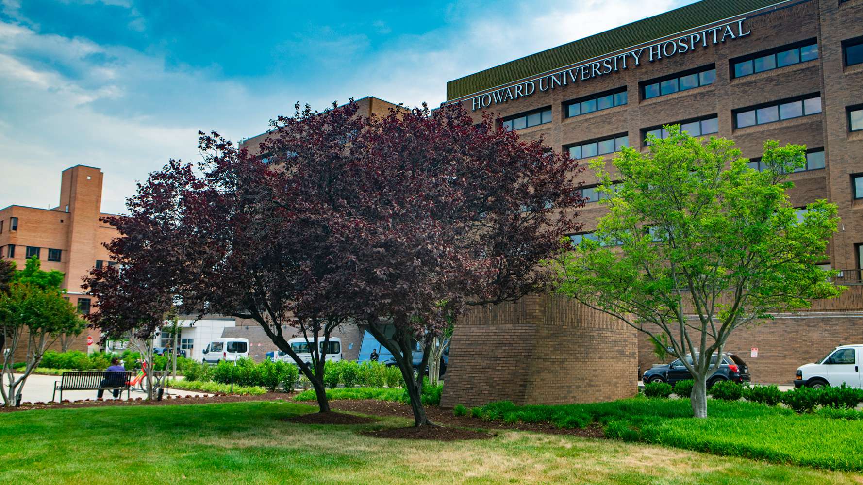 Commercial landscaping Howard University Hospital concrete, shrubs, trees, flowers, lawn 2