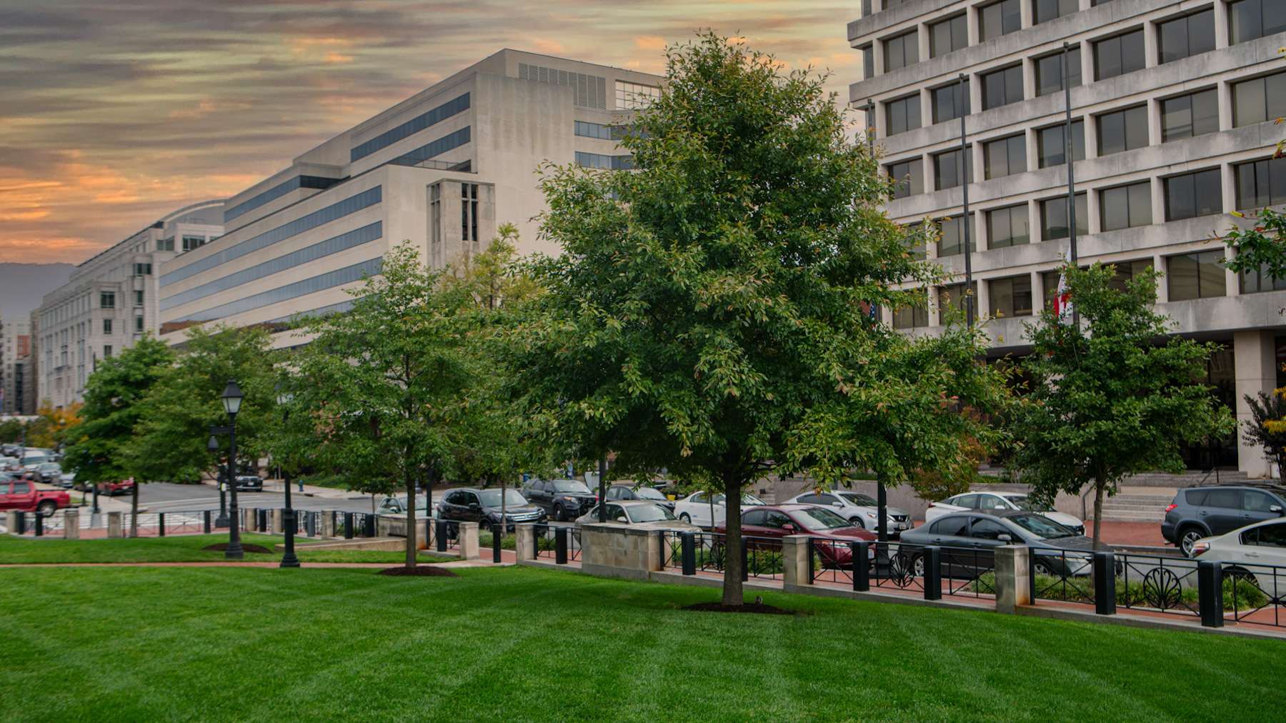 DC Courts Sky trees near road green grass