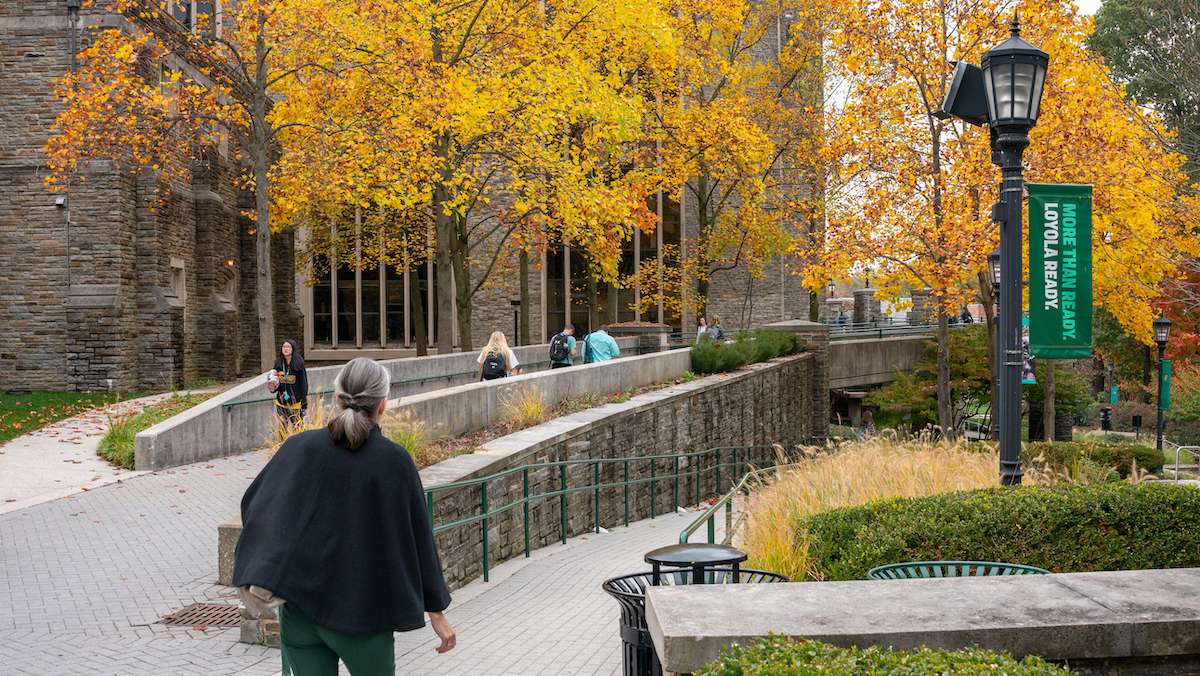 Loyola-fall leaves students walkway plantings