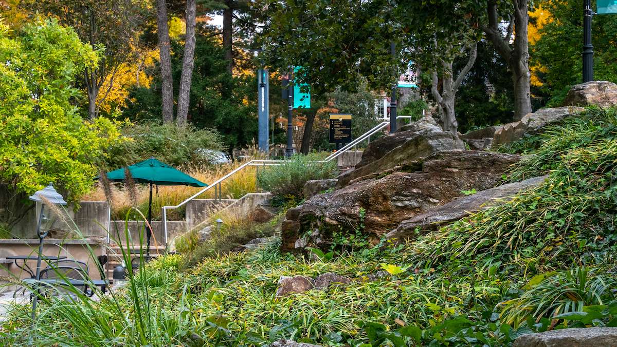 Loyola-rockscape rocks boulders plantings