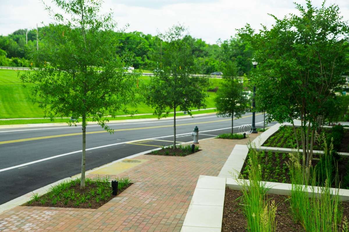 Potomac Park raised planting beds trees roadway walkway pavers