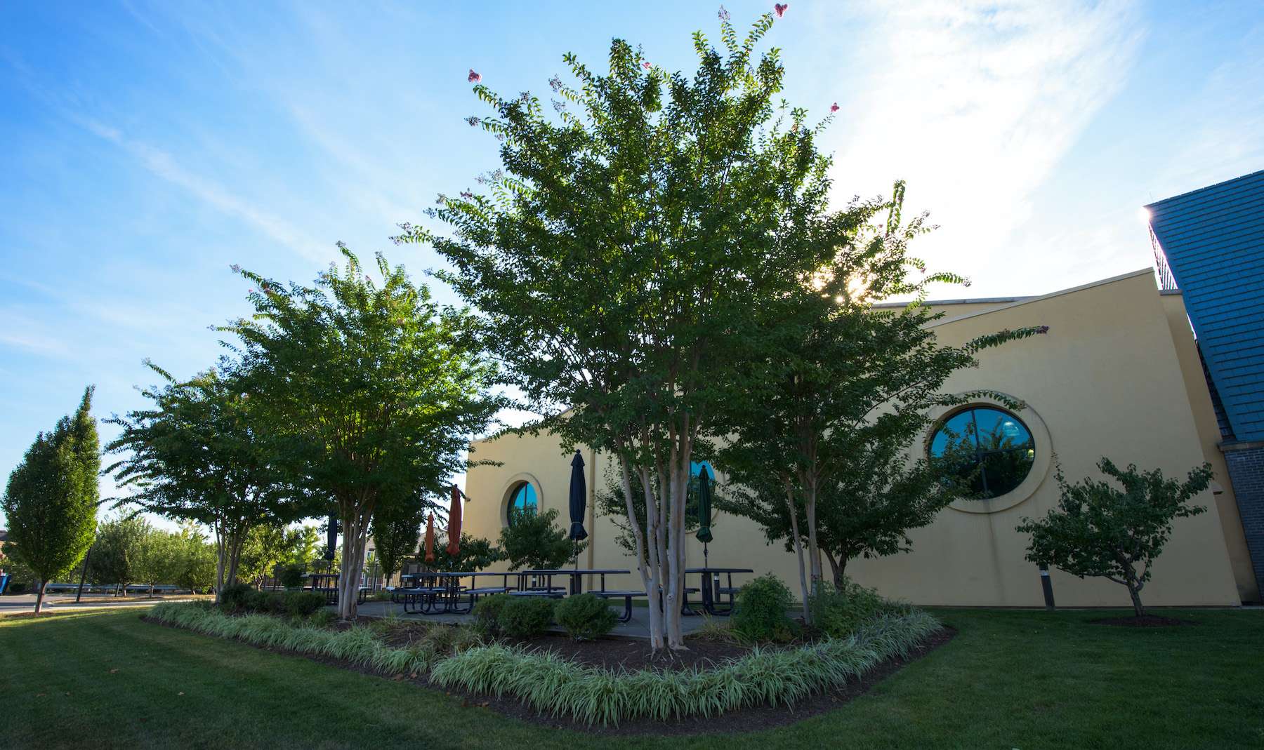 educational seating area with trees and plantings