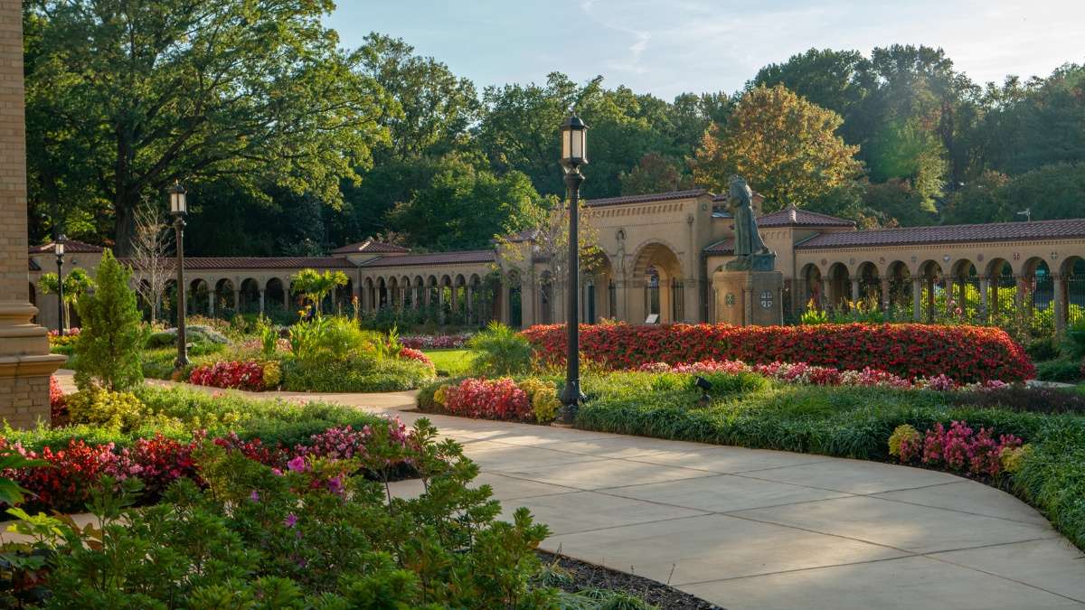 plants-flowers-annuals-shrubs-trees-walkway-church