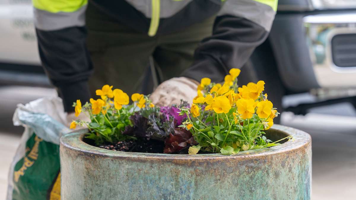 Cabin-John-crew-planters container gardens planting flowers