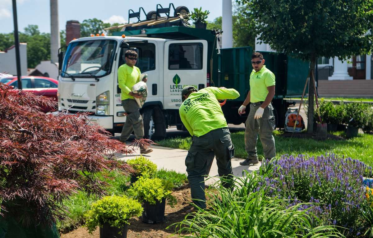 install plantings-1